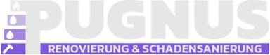 Pugnus GmbH Logo